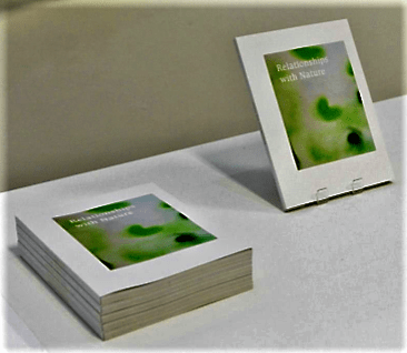 Relationships with Nature