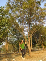 tk mf at neem tree nakshatra vatika jan 2019 - 1