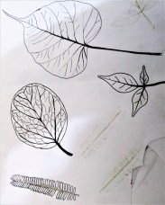 tk mf drawing 5 leaves