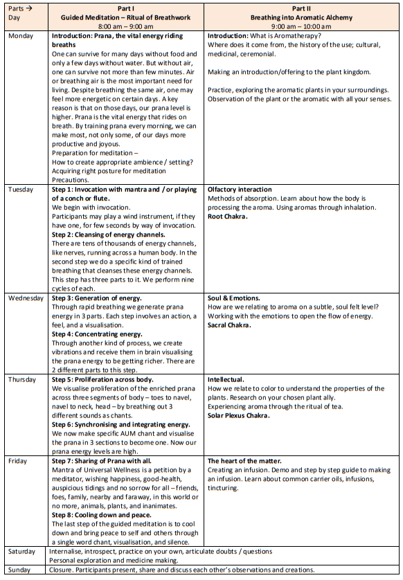 Breathing into aromatic alchemy - Week 1